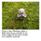 Illustration for article titled “Marlowe the Monster” is a sculpted webcomic of melancholy moments